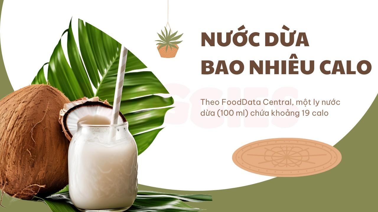 Uống Nước Dừa Có Tác Dụng Gì? Thành Phần, Lợi Ích Và Sự Thật Khoa Học